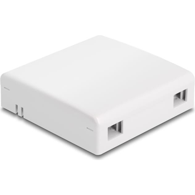 Delock Optical Fiber Connection Box for