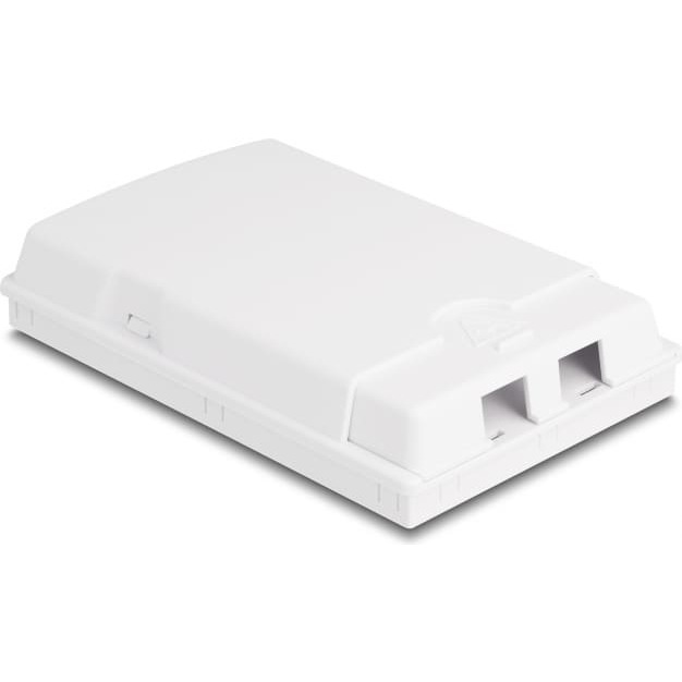 Delock Optical Fiber Connection Box for