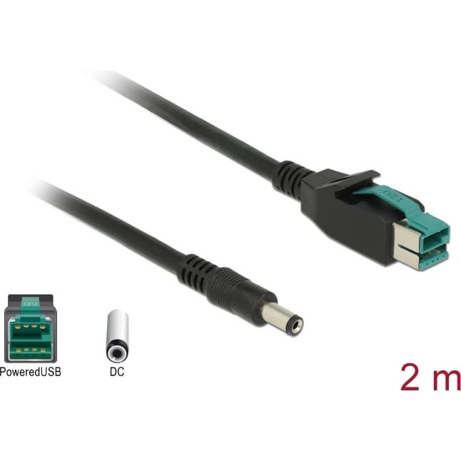 Delock PoweredUSB cable male 12 V