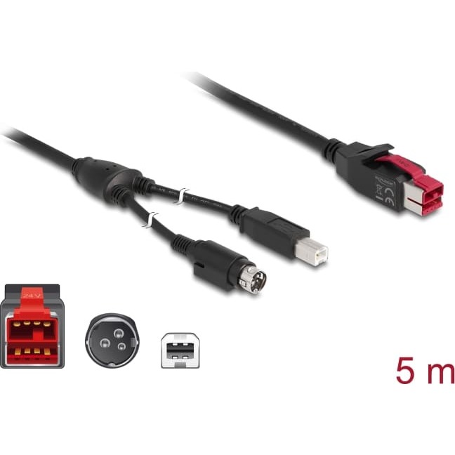 Delock PoweredUSB cable male 24 V