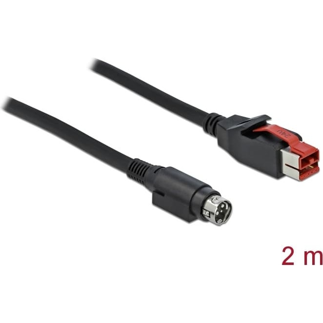 Delock PoweredUSB cable male 24 V