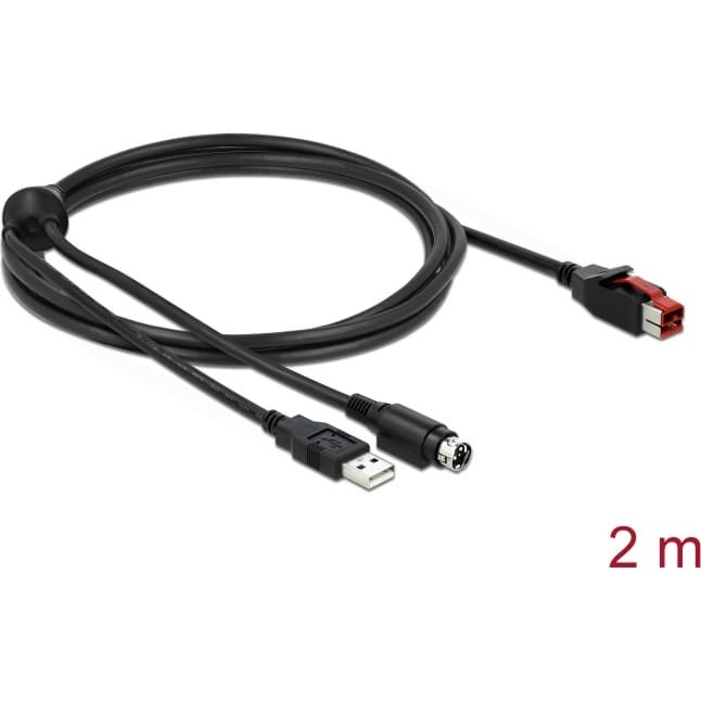Delock PoweredUSB cable male 24 V