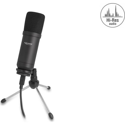 Delock Professional USB Condenser Microphone 24