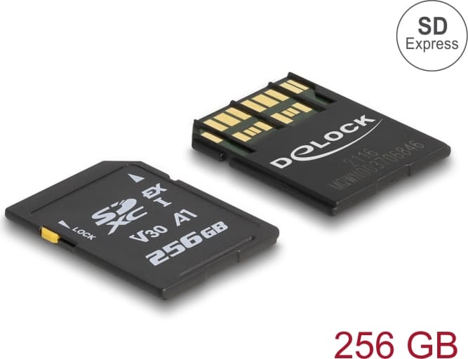 Delock SD Express memory card 256