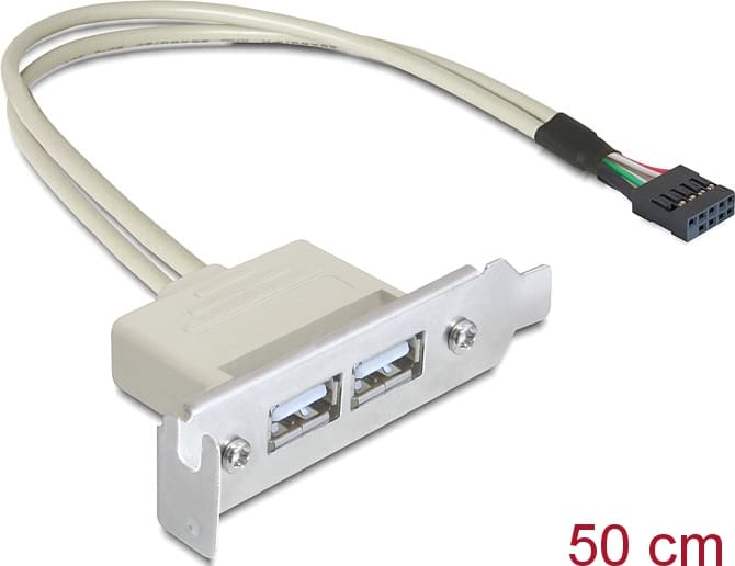 Delock Slot bracket USB 2.0