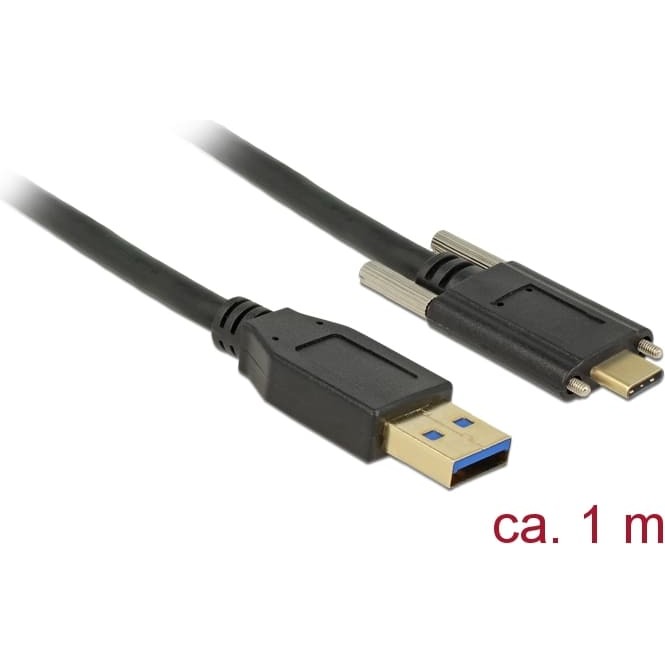 Delock SuperSpeed USB 10 Gbps (USB