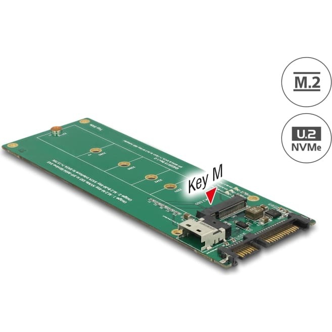 Delock U.2 SFF-8654 or SATA