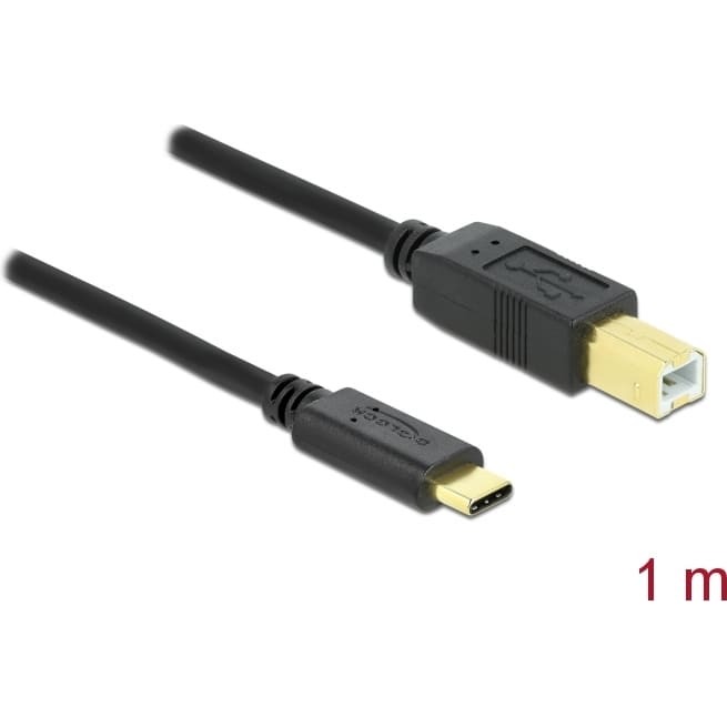Delock USB 2.0 cable Type-C