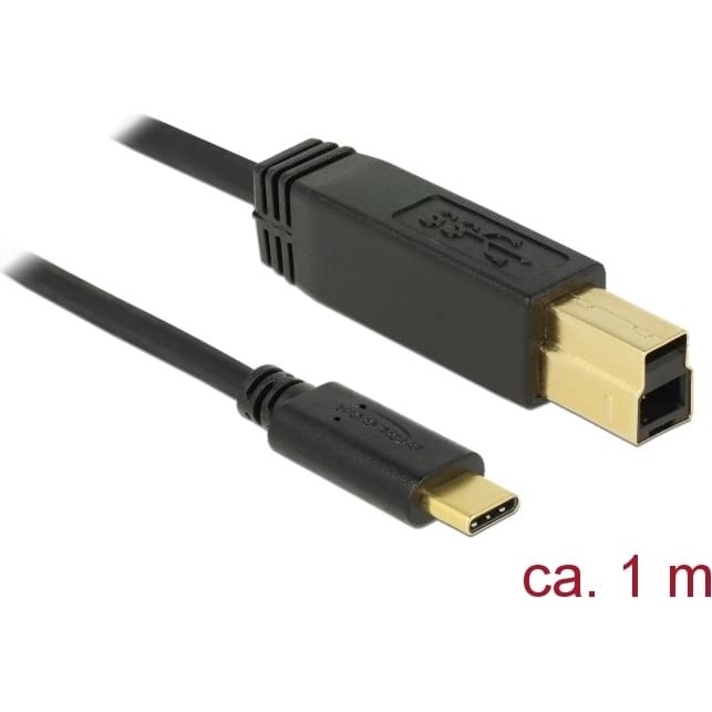Delock USB 3.1 Gen 2