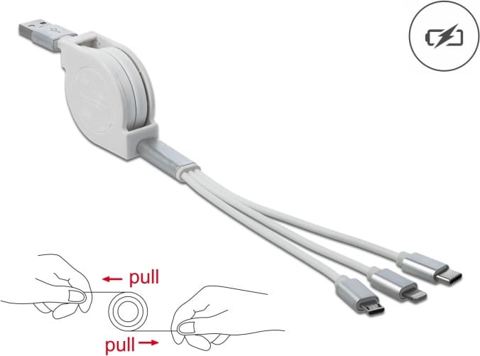 Delock USB Type-A 3 in 1