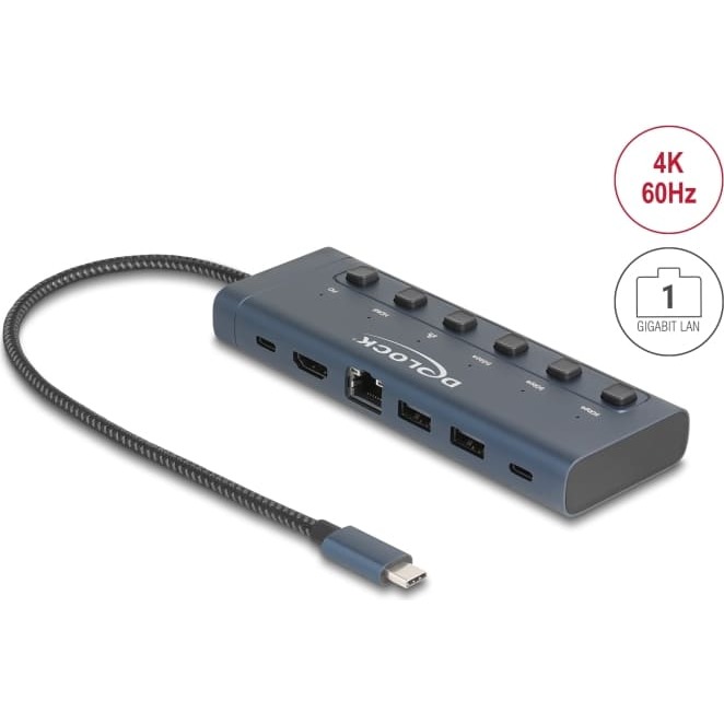 Delock USB Type-C™ Docking Station 4K