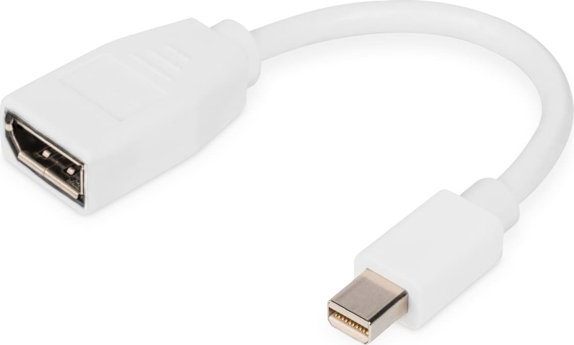 DIGITUS - DisplayPort adapter - Mini