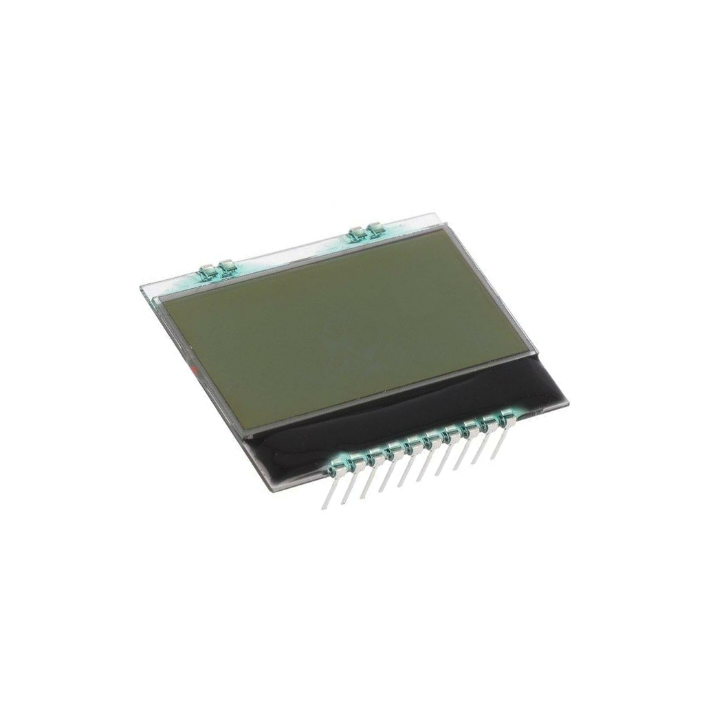 DISPLAY VISIONS Display: LCD; alphanumeric; FSTN