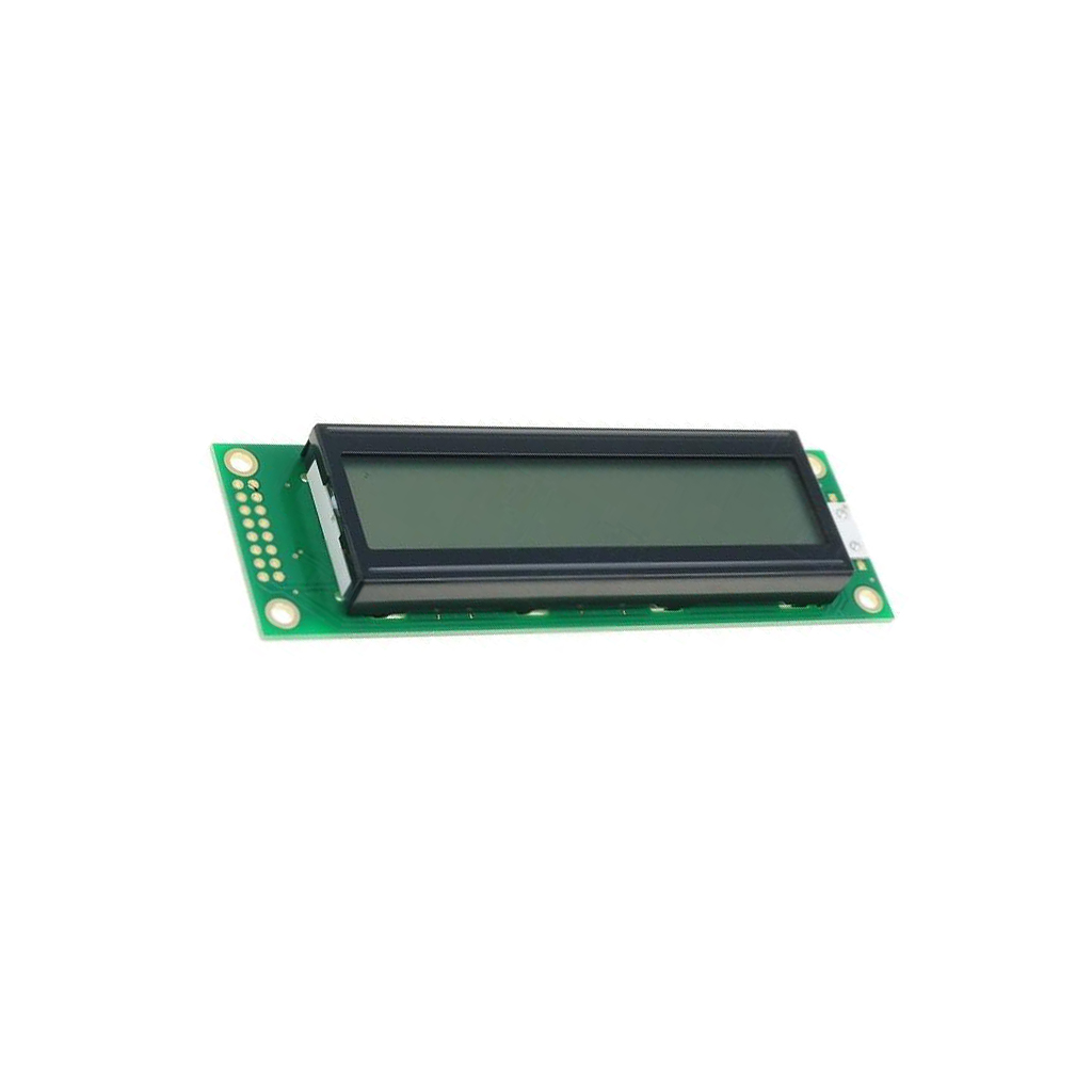 RAYSTAR OPTRONICS Display: LCD; alphanumeric; FSTN