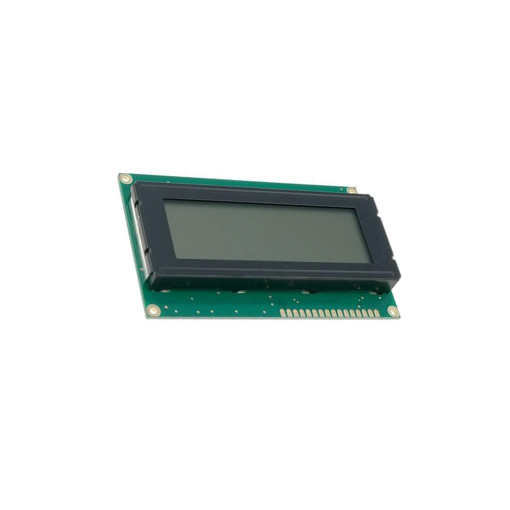 RAYSTAR OPTRONICS Display: LCD; alphanumeric; FSTN