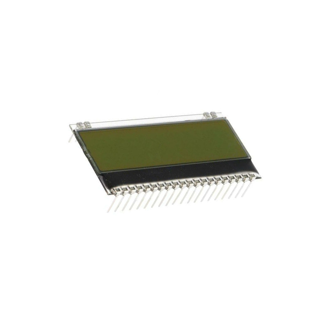 DISPLAY VISIONS Display: LCD; alphanumeric; STN
