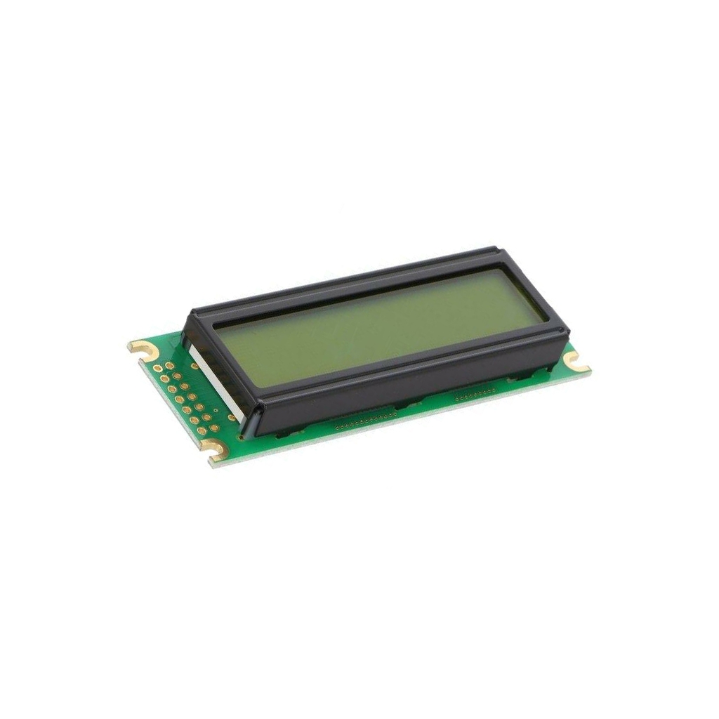RAYSTAR OPTRONICS Display: LCD; alphanumeric; STN