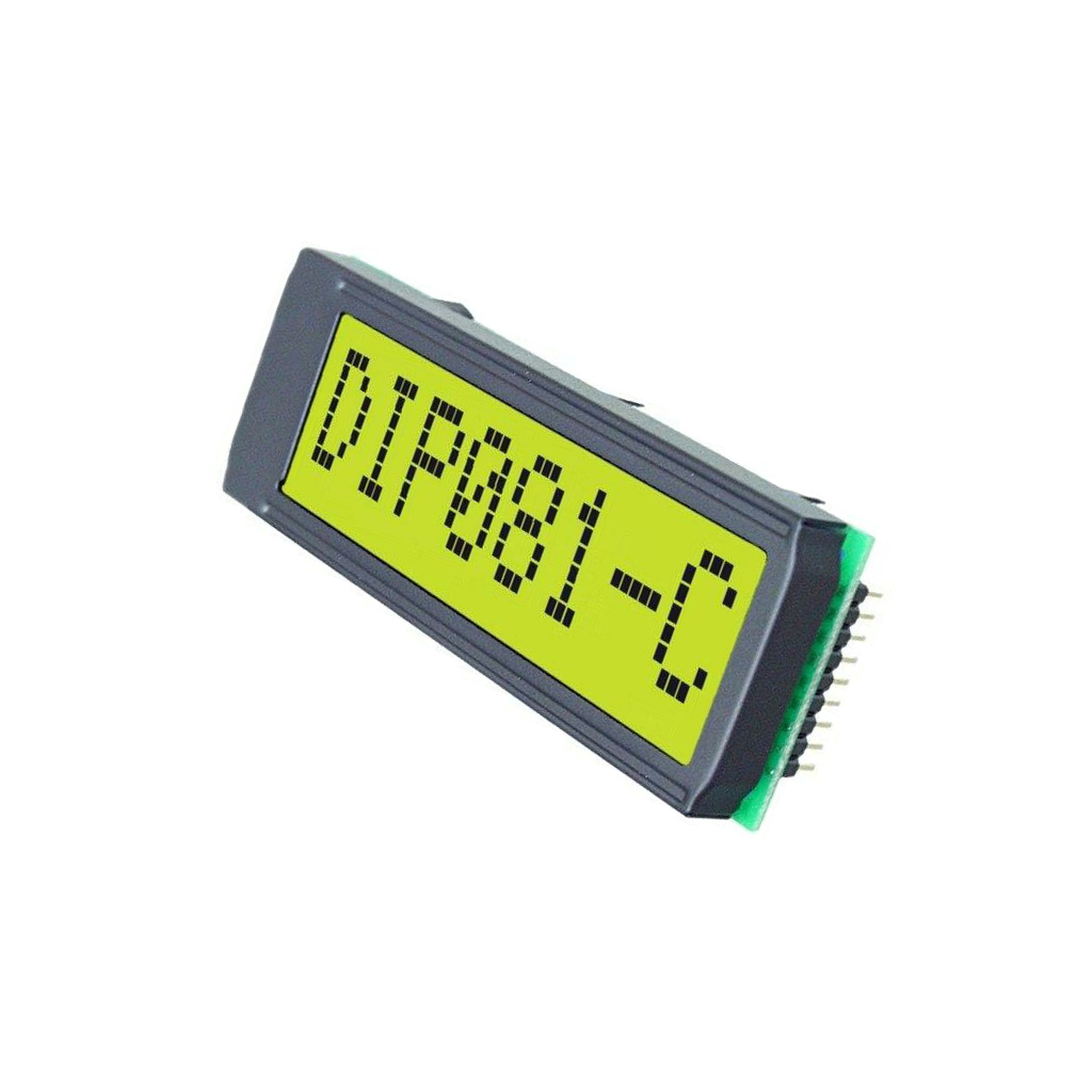 DISPLAY VISIONS Display: LCD; alphanumeric; STN