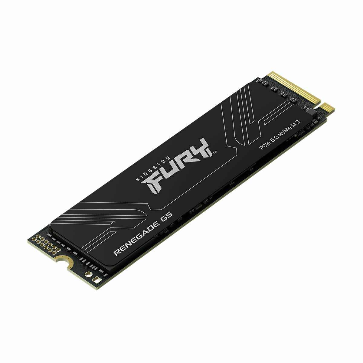 Kingston Technology 1T FURY RENEGADE G5