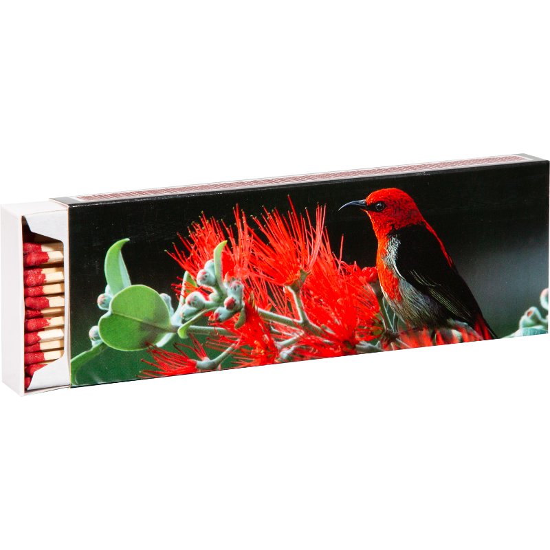 FLAMAX Sērkociņi 20cm 55 gab. kastītē