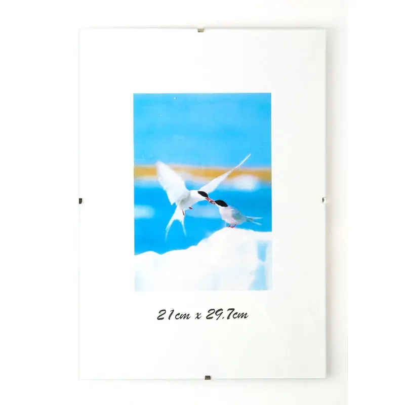 SAVEX Foto rāmis, A4, 21x29,7
