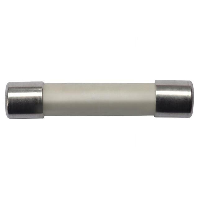SCHUTZINGER Fuse; 500mA; 1kV; 6.3x32mm