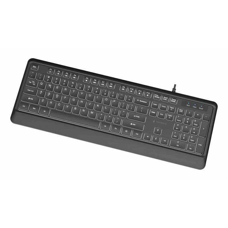 Klaviatūra Gembird Slim Backlight USB-A+C US