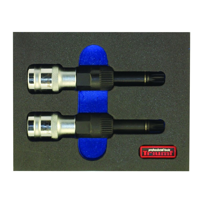 TRIUMF PROFESIONAL TOOLS Triumf professional tools