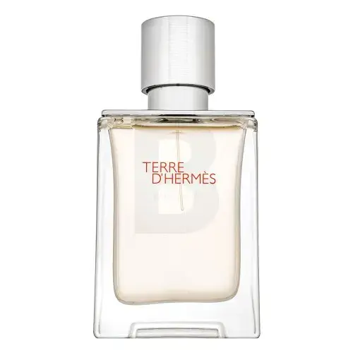 Hermès Terre d`Hermès Eau Givrée -