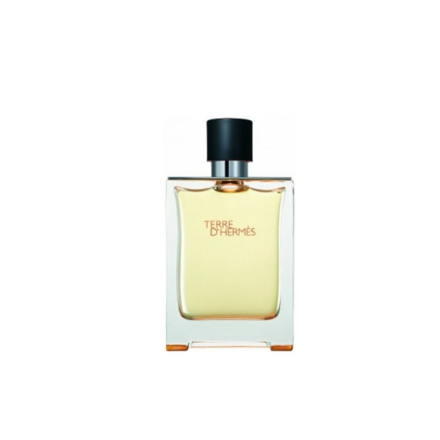 Hermes Terre D`Hermes Losjons ASW 100