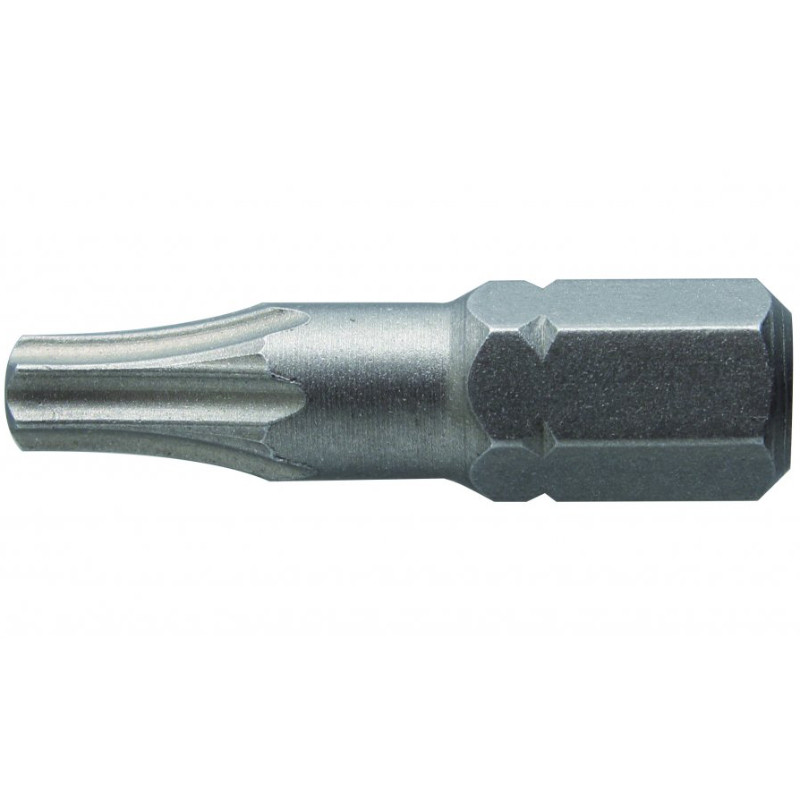 Hogert skrūvgrieža uzgalis HT1S361, TX10, 25mm