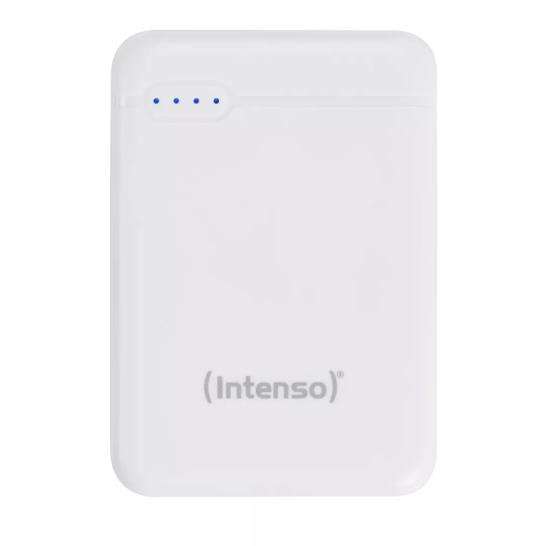 Intenso 7313522 power bank Lithium Polymer