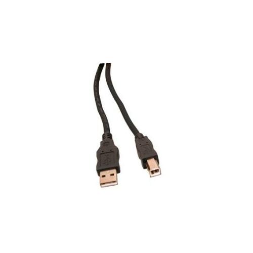 KITI Kabelis printera USB2.0 AM