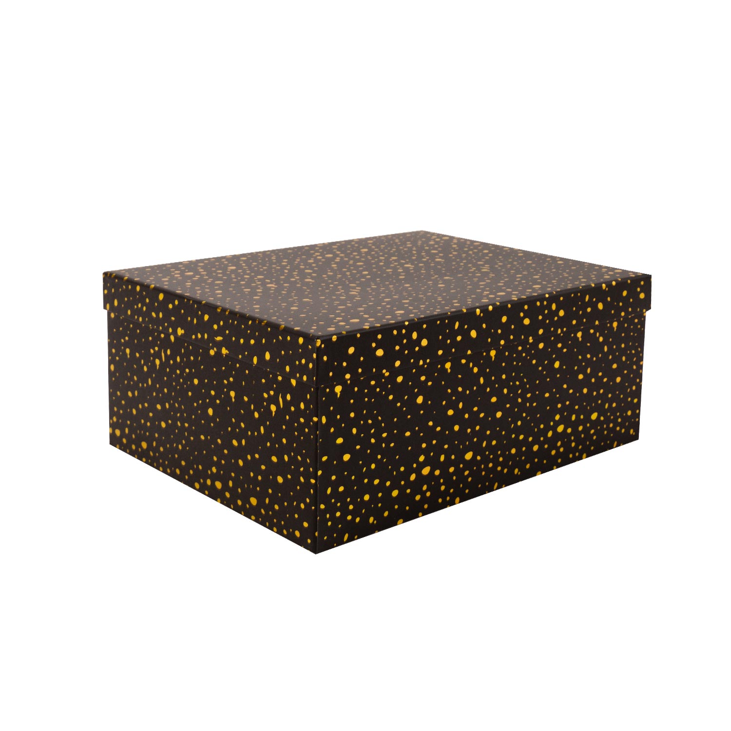 Kaste DIANA-5, ar vāku 29x22xH12,5cm