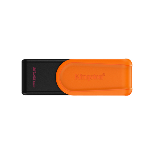 Kingston 256GB USB 3.2 Gen