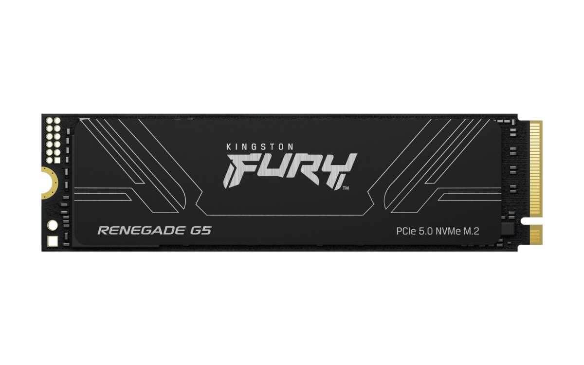 Kingston Fury Renegade G5 M.2