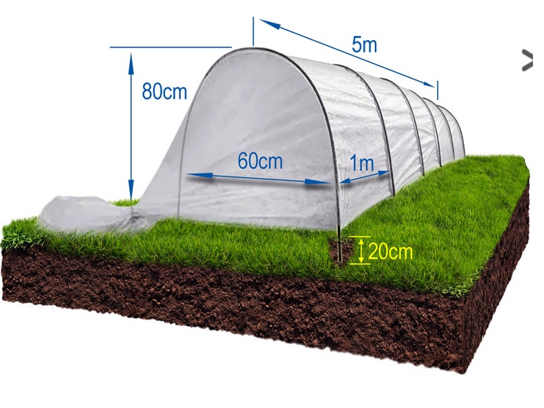 Garden LECEKTS `STANDARTS` 5M | SEM2201661