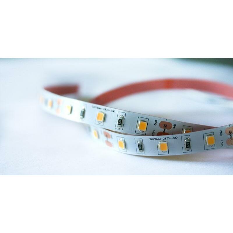 LED lente 12V 14.4W/m nehermētiska