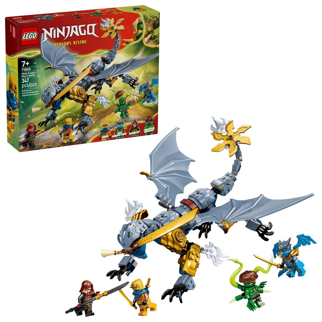 LEGO Bricks Ninjago 71855 Ninja Dragon