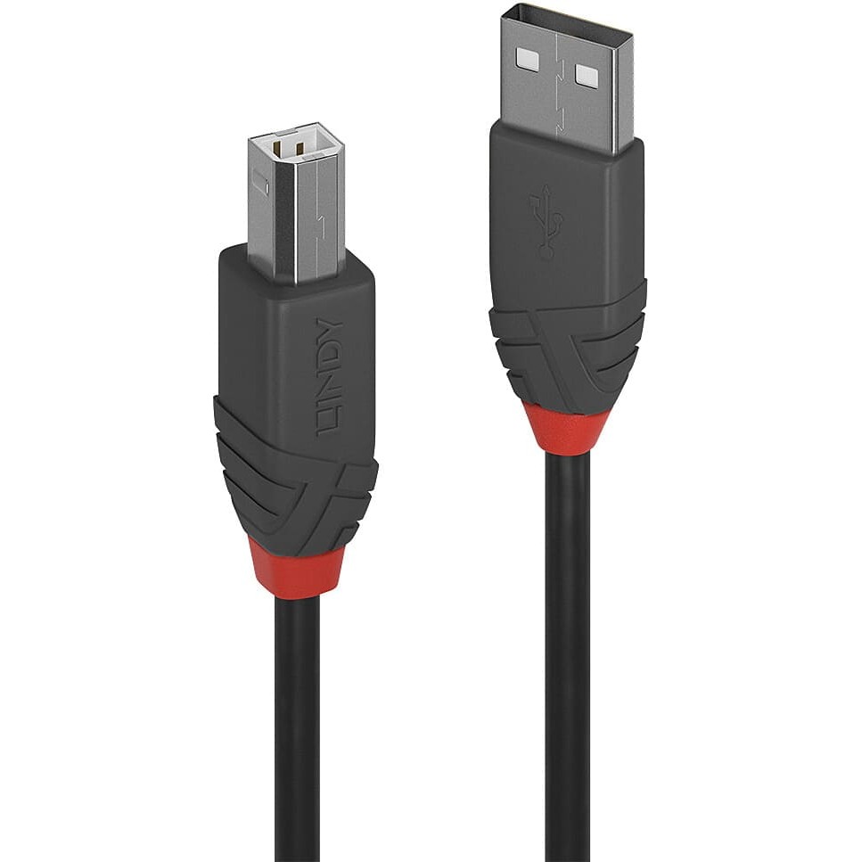 Lindy 0.2m USB 2.0