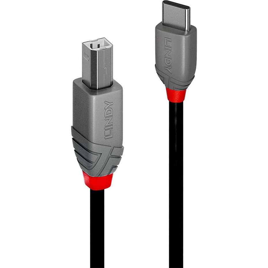 Lindy 1m USB 2.0 Type