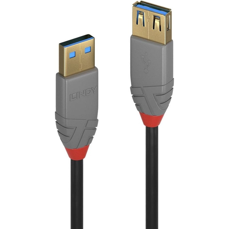 Lindy 1m USB 3.2 Type