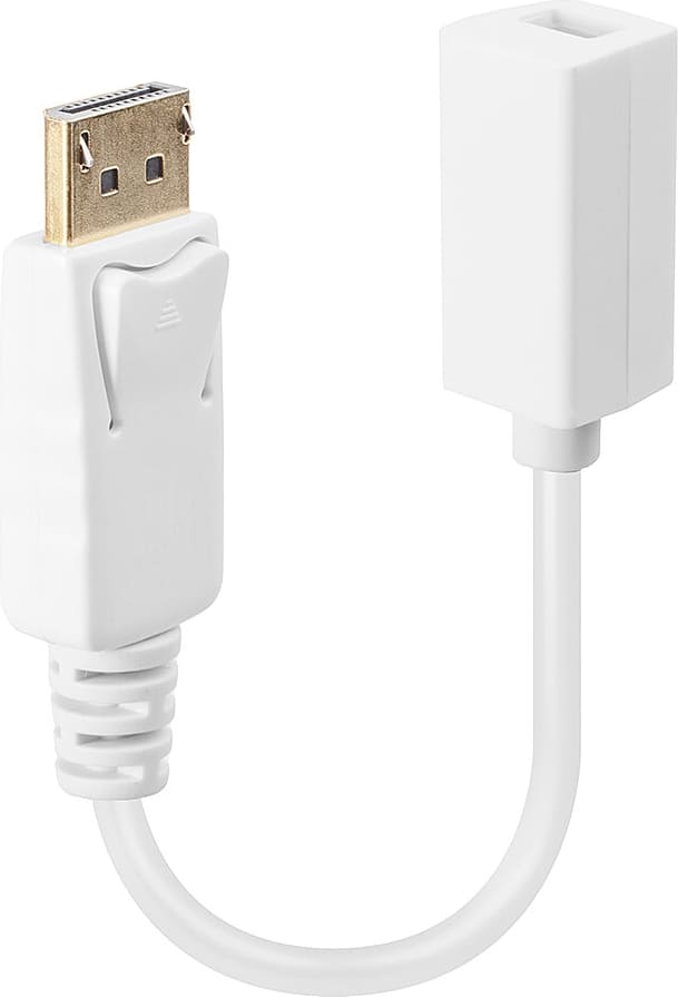 Lindy DisplayPort - Mini DisplayPort adapter