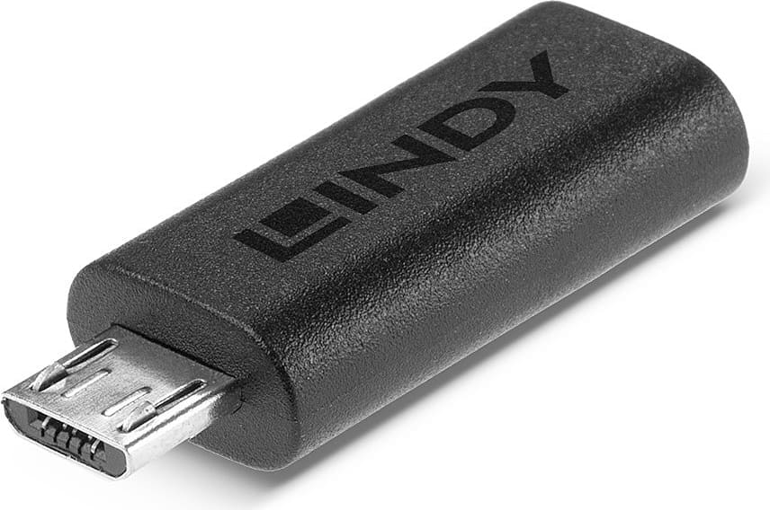 Lindy - USB-C adapter - 24