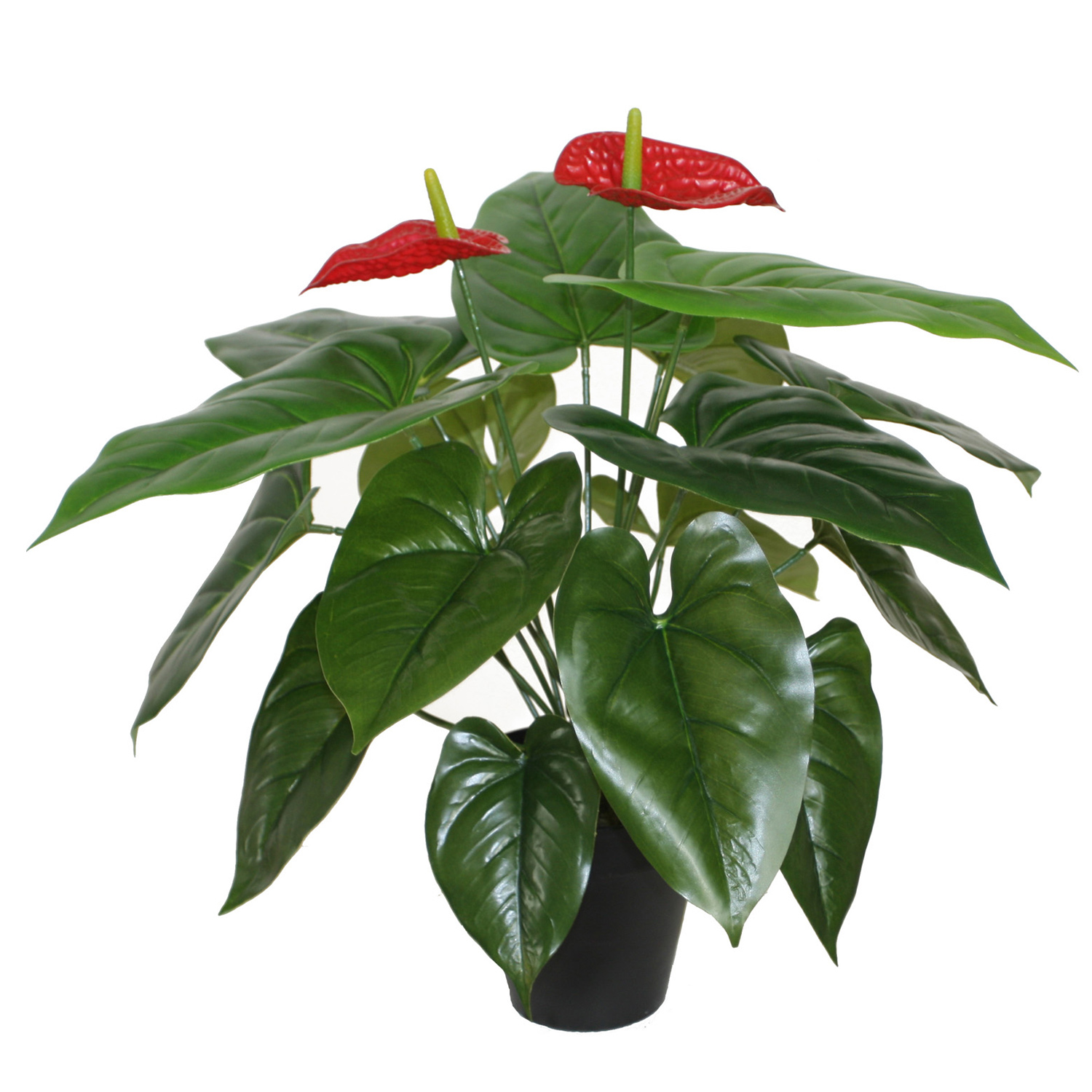 Mākslīgs augs ANTHURIUM H45cm, flamingo, melns