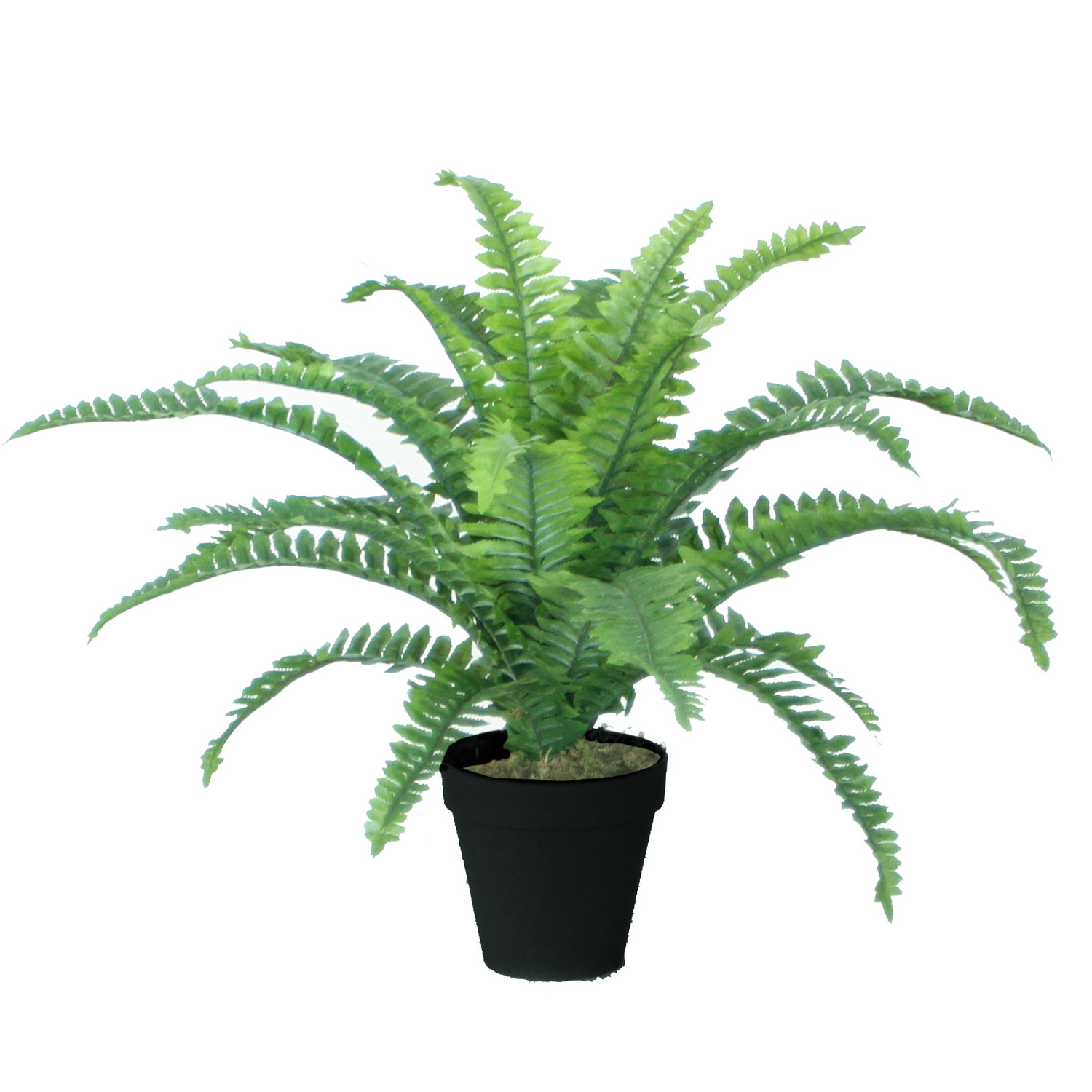 Mākslīgs augs BOSTON FERN H45cm, papardes