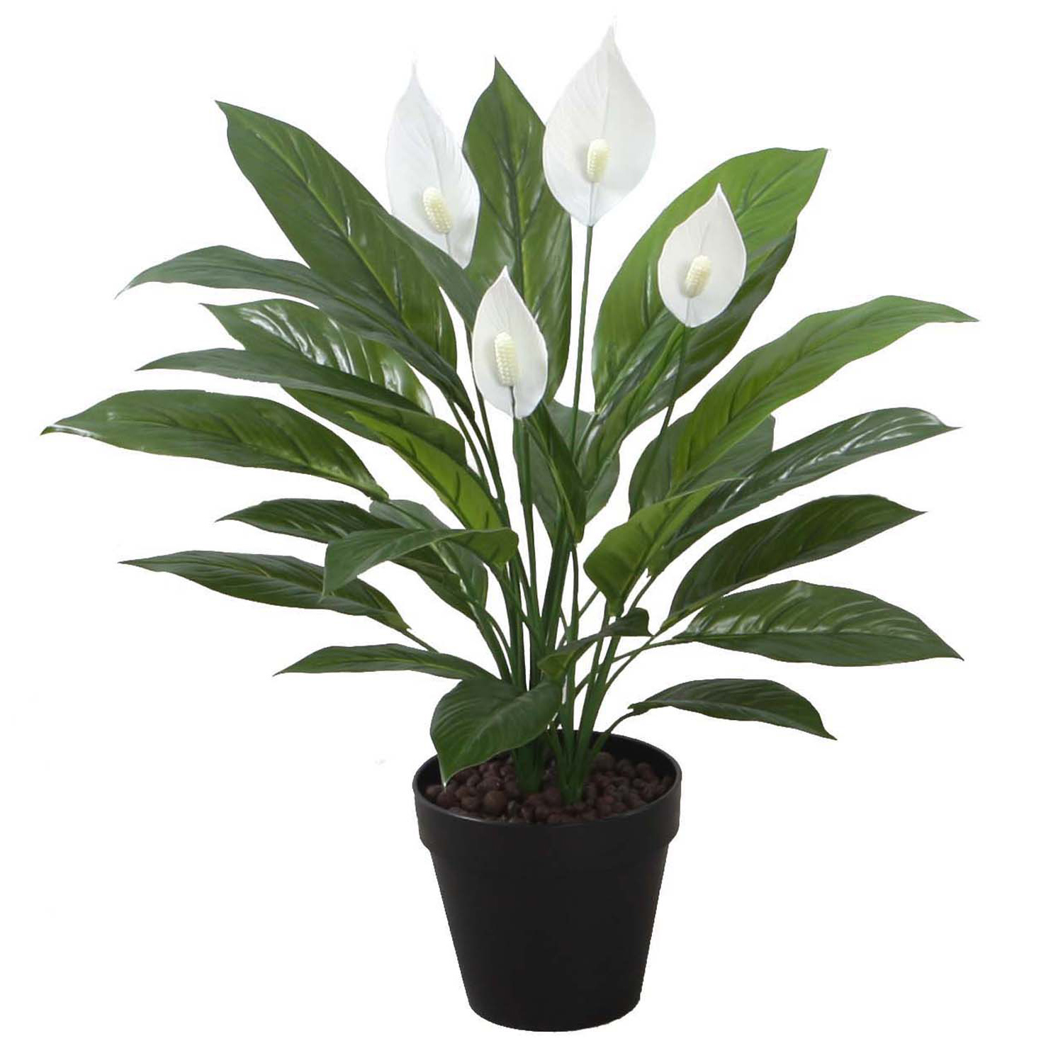 Mākslīgs augs SPATHE H60cm, spatifīla, melns