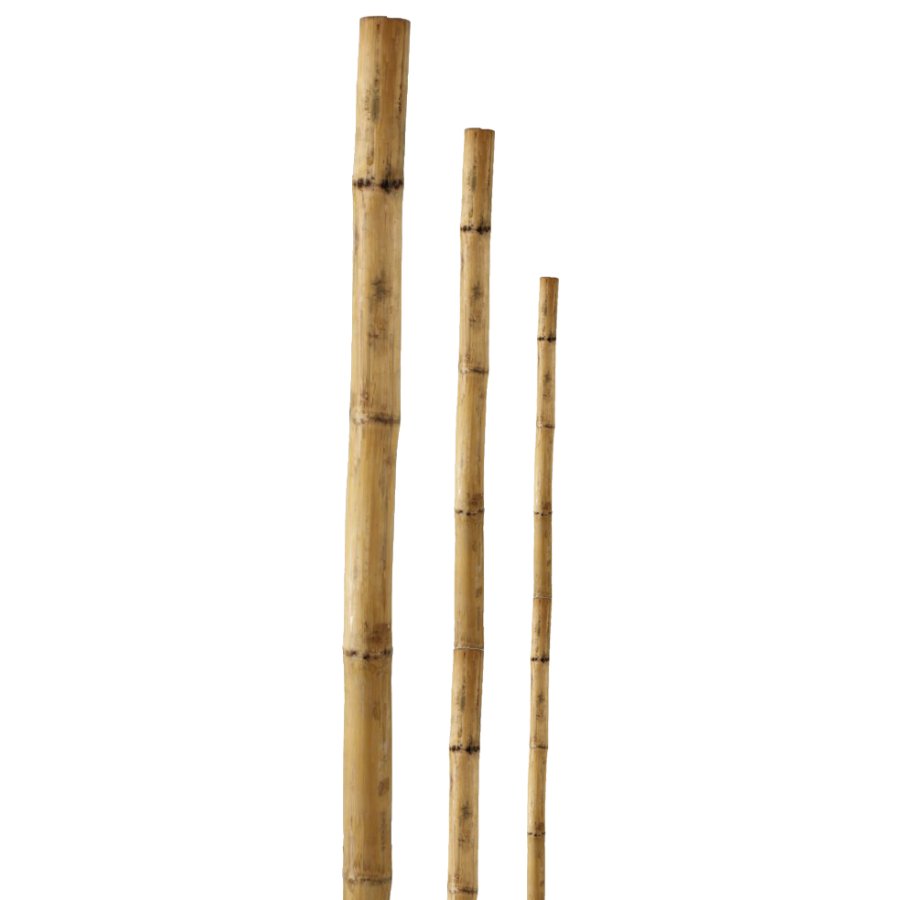 Besk Mietiņš bambusa 210cm 1gb |