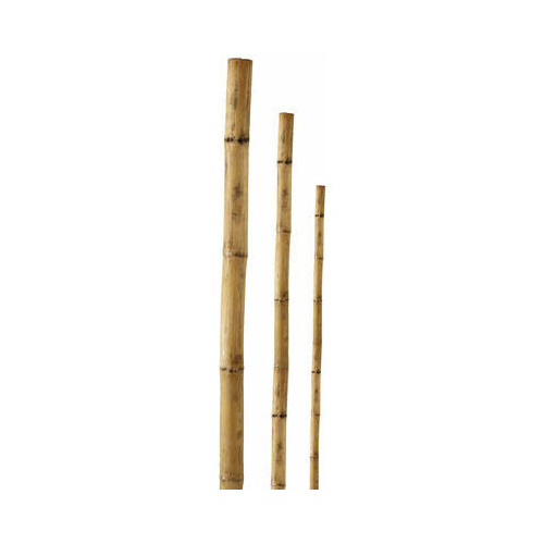 Besk Mietiņš bambusa 240cm 1gb |