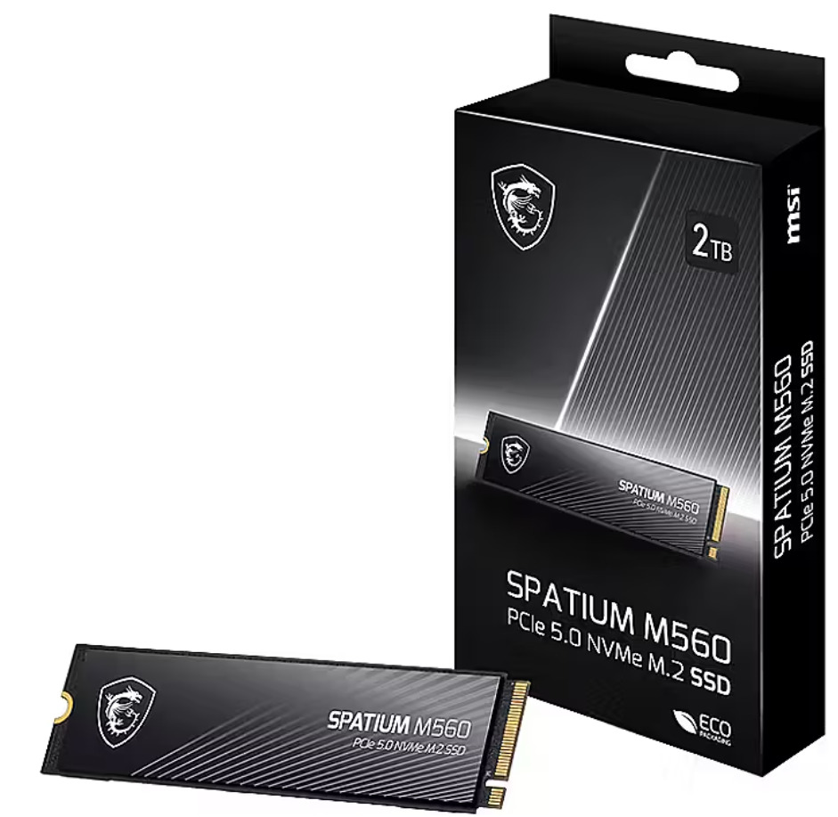MSI Spatium M560 Cietais disks 2TB